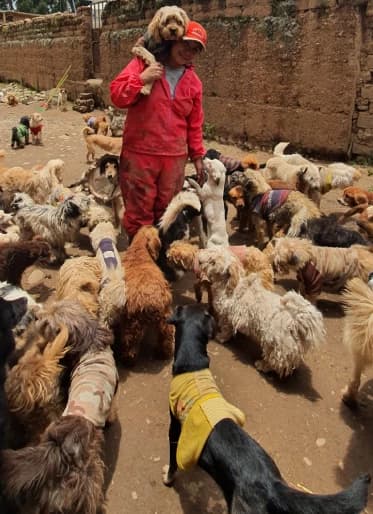 Imagen de emilia rodeada de muchos perros del refugio