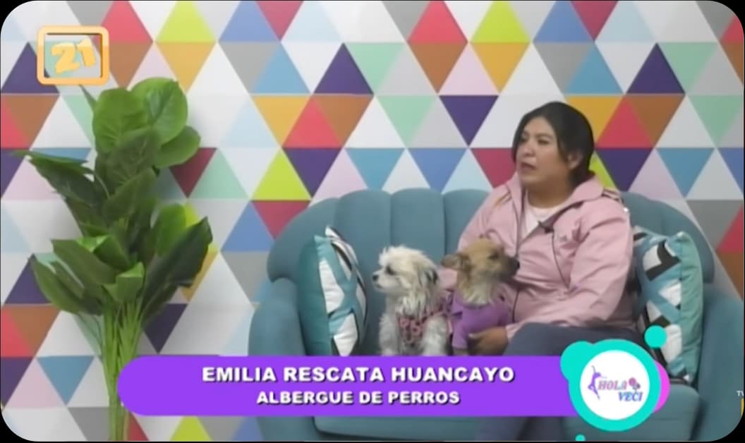 Imagen de emilia dando una nota en canal 21 de huancayo