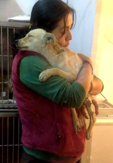 Imagen de una persona acariciando a un perro